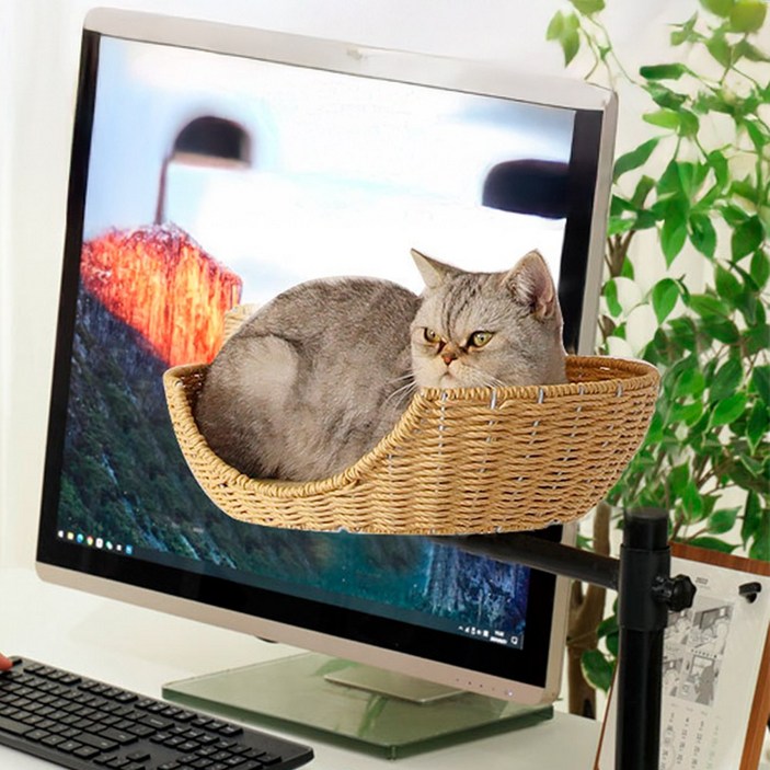 고양이 의자 방석 책상 해먹 이동식 바구니 바구냥, 1개, 블랙