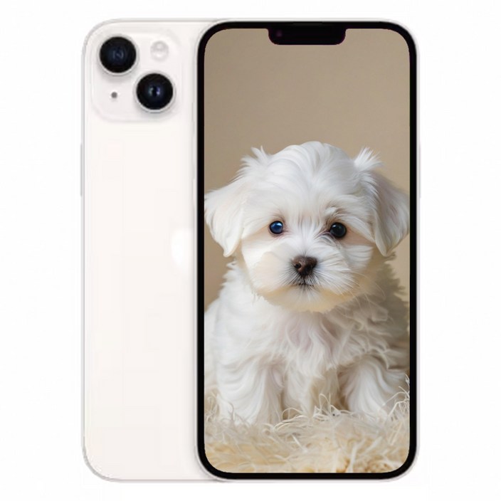 아이폰 14 새제품 정품 256GB