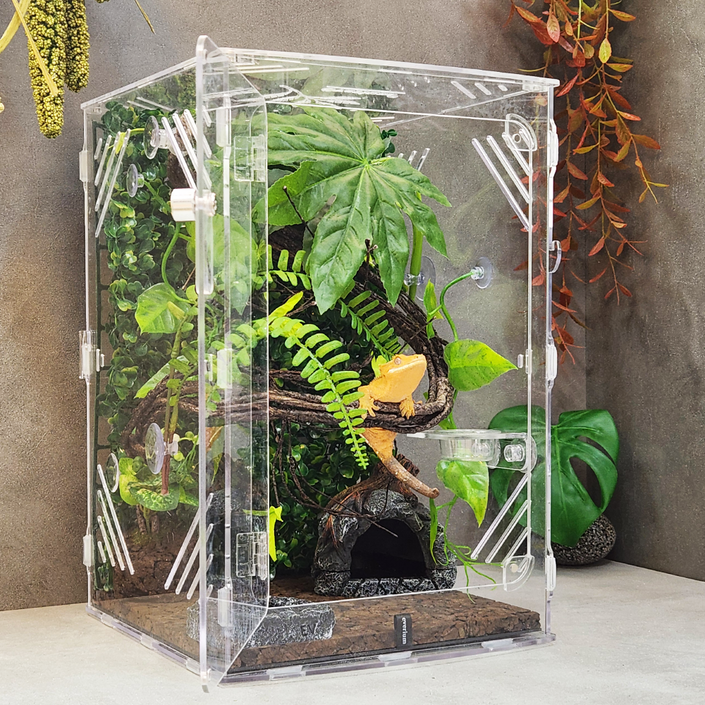 에버리움 크레스티드 게코 도마뱀 아크릴 사육장 세트 - 중형 24x24x36cm
