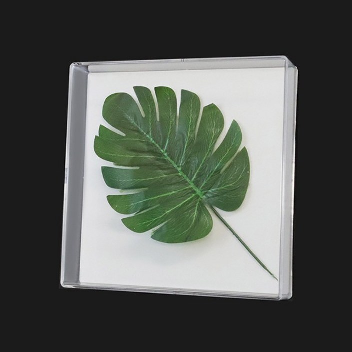 (신) 아크릴액자(약22x22x5cm/공간높이 약3.5cm) / 관액자 / 입체 공간 액자 / 프리져브드 액자