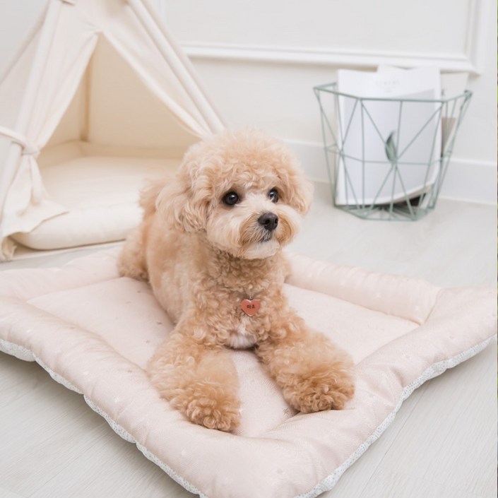 올마이펫 시원하고 도톰한 인견강아지 쿨방석매트, 쿨방석그레이, 1개