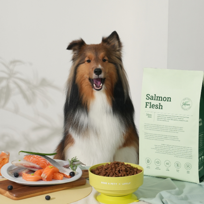 본아페티 플러스 강아지 연어 수제사료, 연어, 1kg, 4개