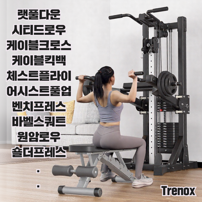 트레녹스 홈짐 세트 벤치프레스 철봉 헬스기구 치닝디핑 스미스머신 다기능 턱걸이 풀업 홈트, 클래식형100kg추덤벨벤치