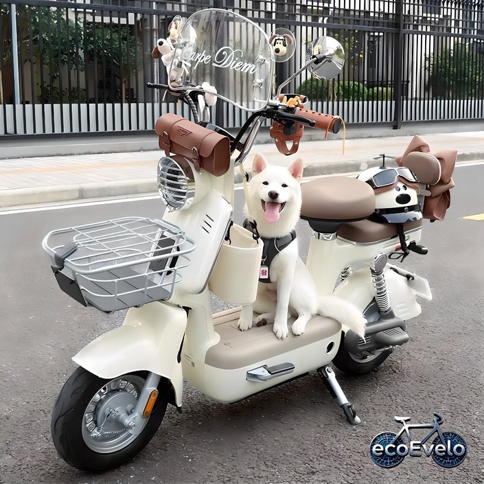 에코e벨로 전기자전거 미니 전동스쿠터 여친 전기 자전거 통학용 등하원용 엄마생일선물 14ah