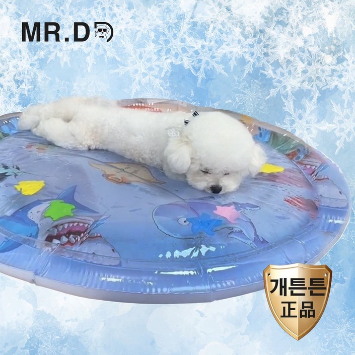 개두꺼운 미스터댕댕 고양이 강아지 쿨 방석 워터 매트 50수