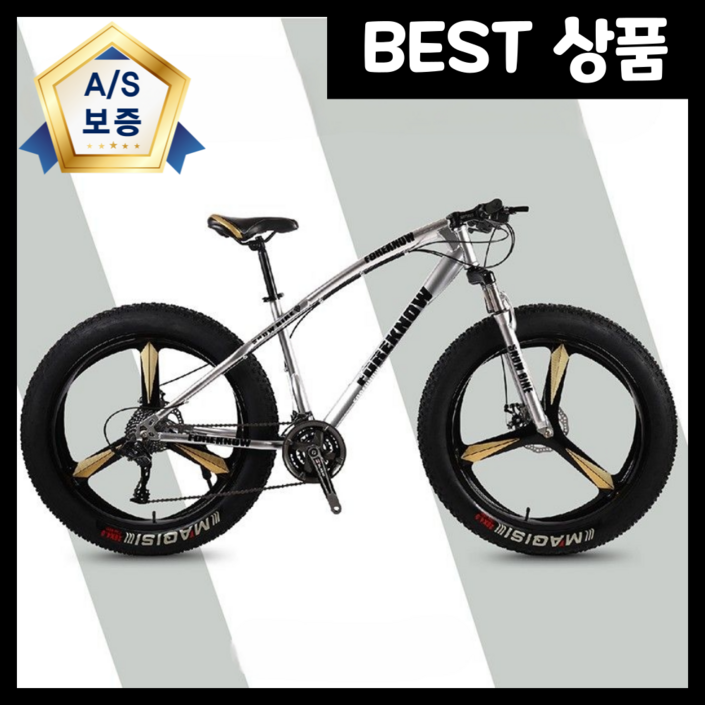 헤비포스 튼튼한 mtb 자전거 오프로드 광폭 타이어 산악 팻바이크 대형 출퇴근 바퀴큰 21단, 1개, 185cm, 5날휠 실버 21단 24인치