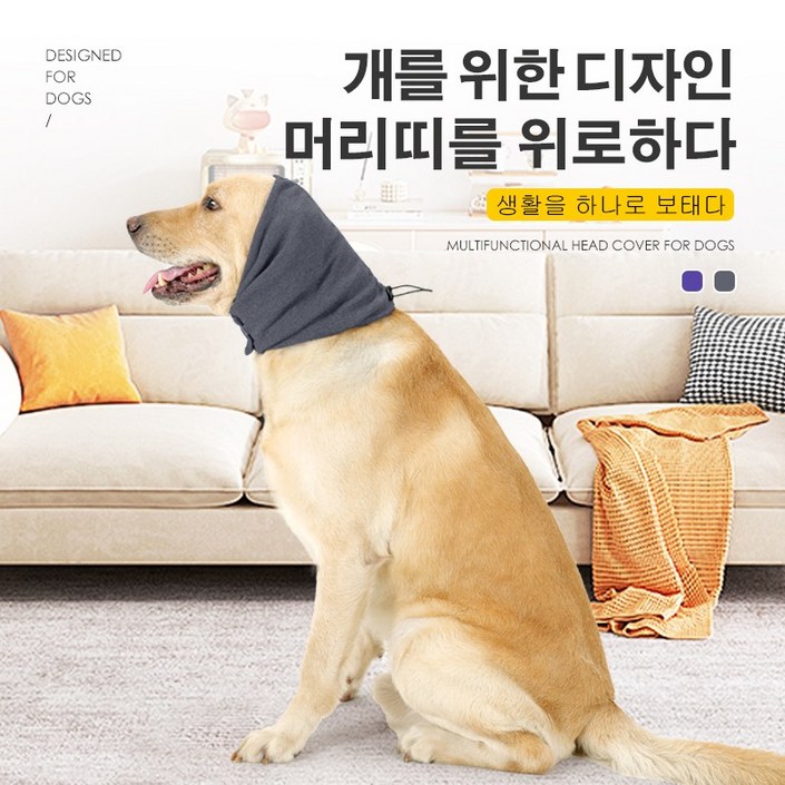 애완동물 보온 방한용 머리띠   강아지 귀마개 강아지가 귀마개를 달래다