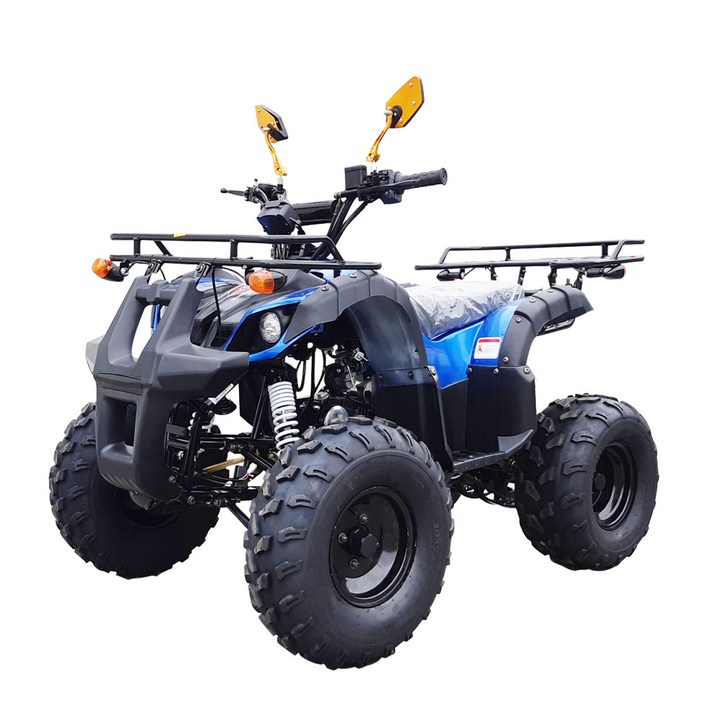 125cc ATV B형 사륜바이크 사륜오토바이, 파랑, 125cc ATVB형
