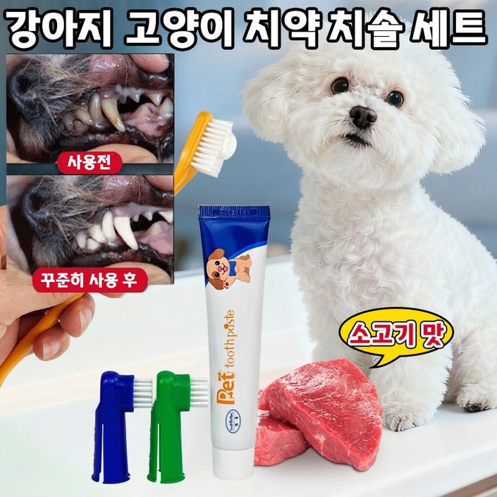 111 강아지 치약 치솔 세트 반려동물 소고기 맛 치약 입냄새 치석 제거 구강 잇몸 관리