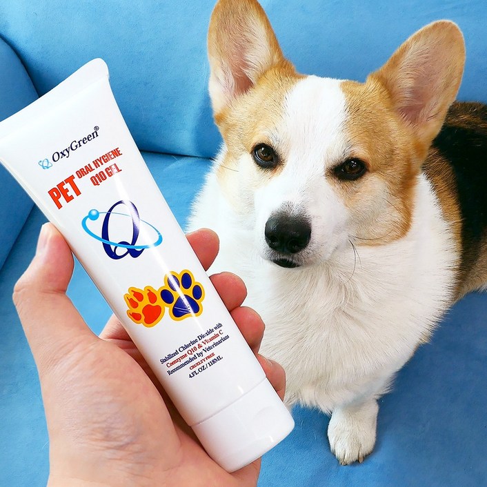 옥시그린 펫젤 강아지 고양이 구강젤 잇몸염증 입냄새제거 바르는치약 코큐텐함유 Made in USA