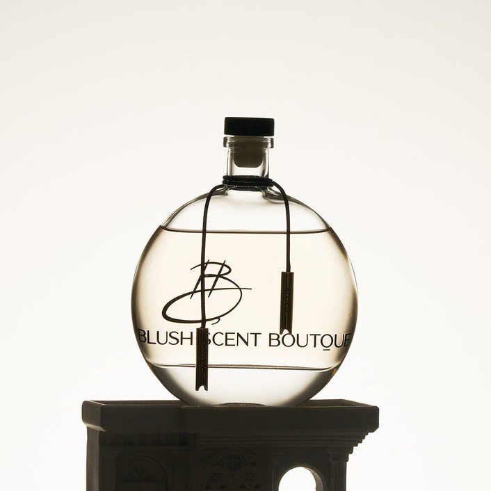 블러쉬 베이비풀문 오브제 인테리어 고급디퓨져 대용량디퓨저 실내방향제, 1개, 250ml, 블랑쉬호환