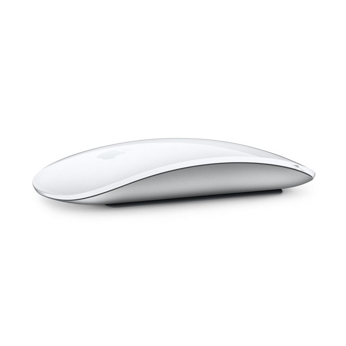 Apple 2021년 Magic Mouse