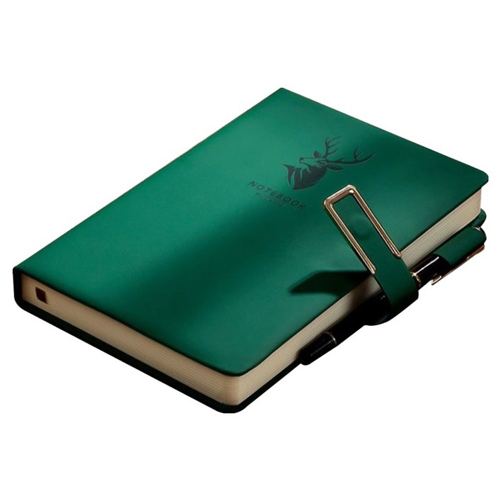 하이어데코 방수 가죽 노트 수첩 다이어리 160p, 그린, 1개