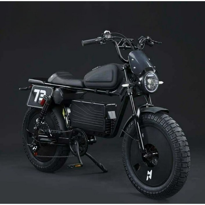 고출력 전기자전거 60V 신형 자토바이 페이스오프 N1 3000W 배달용