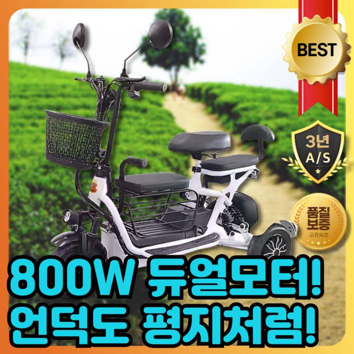 파워고 듀오포스800 삼륜 오토바이 전기 바이크 배달 미니 삼발이 사발이 스쿠터 파워고 듀오포스800 삼륜 오토바이 전기 바이크 배달 미니 삼발이 사발이 스쿠터