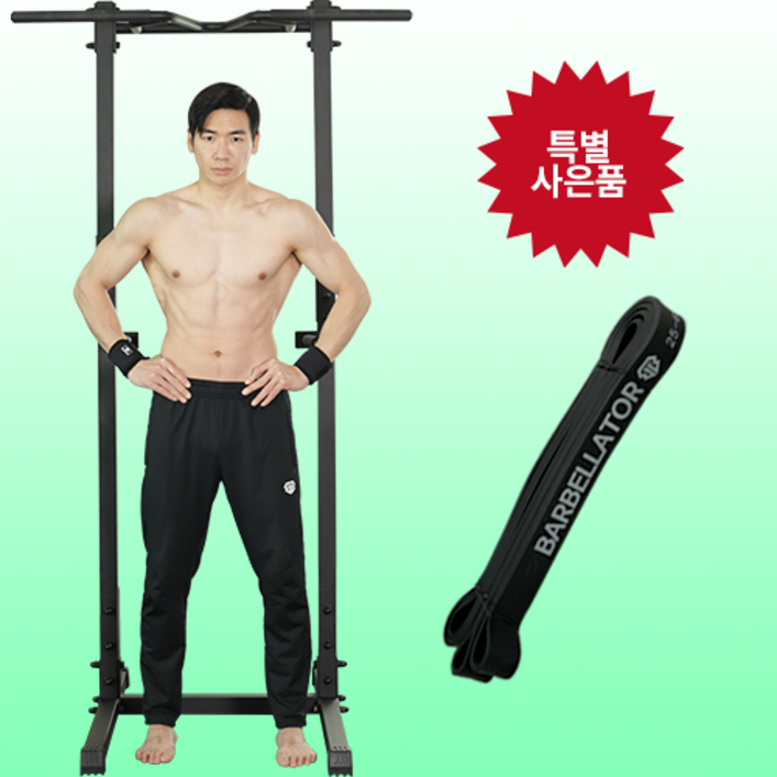 [풀업밴드+1 증정] 바벨라토르 치닝디핑  베이직 리쌤 철봉 실내 가정용 턱걸이 운동기구 홈트레이닝 친업 딥스 풀업 기구 머신