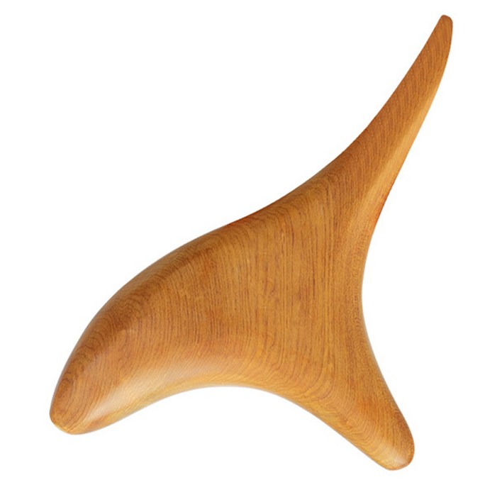 장미목 T 지압봉 괄사