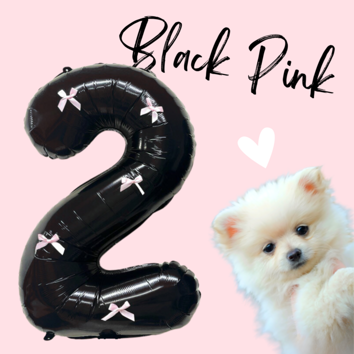 파티룰루 블랙핑크 숫자풍선 리본 대형 생일