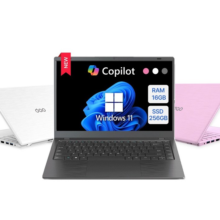 다오북 2025 14인치 1.32kg 윈도우11 탑재 컬러 노트북, 14N100CCG, WIN11 Home, 16GB, 256GB, 다크 그레이