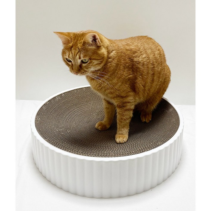 고양이 스크래쳐 대형 46cm, 본품+리필