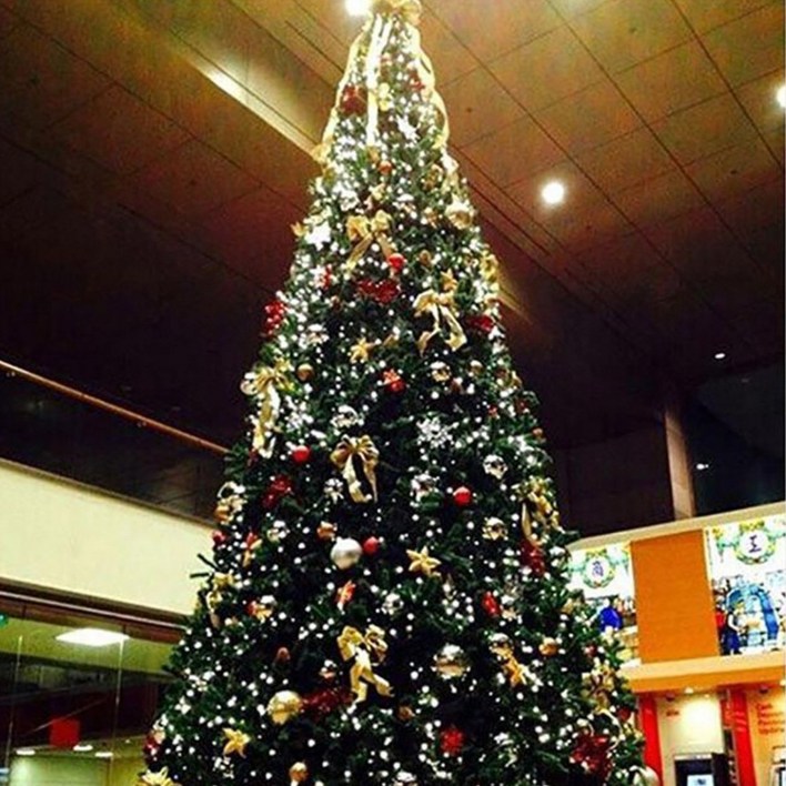 셀러리픽 대형 크리스마스트리 세트 야외 카페 교회 성탄절 3m 4m 5m 6m