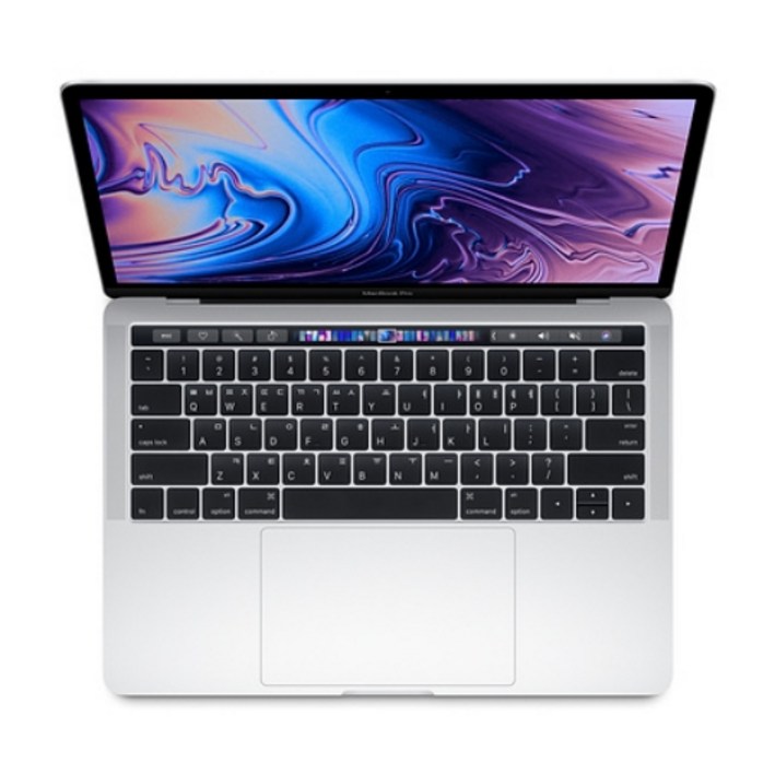 Apple 2019 맥북 프로 터치바 13, 실버, 코어i5 8세대, 인텔 Iris Plus 그래픽스 655, 256GB, 16GB, MAC OS, Z0WS000EK