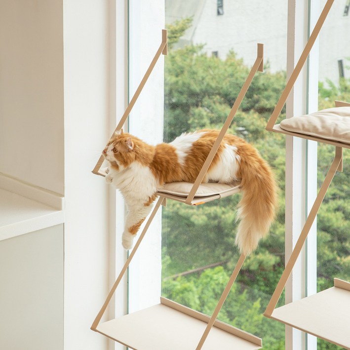 고양이선반 애니멀리프 접을 수 있는 창문 캣타워 / 고양이 원목 소형 미니 대형 계단 캣워크 캣워커