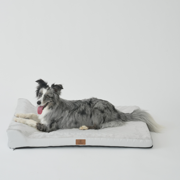 런레이더 대형견 강아지 베개 꿀잠 방석, 그레이, 1개