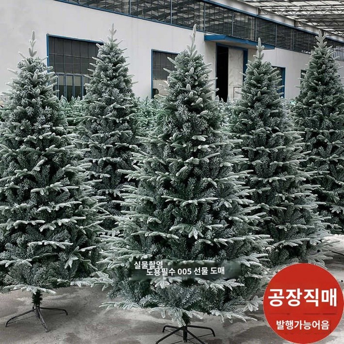 화이트 크리스마스 트리 대형 전나무 3m 4m 교회 화이트 크리스마스 트리 대형 전나무 3m 4m 교회