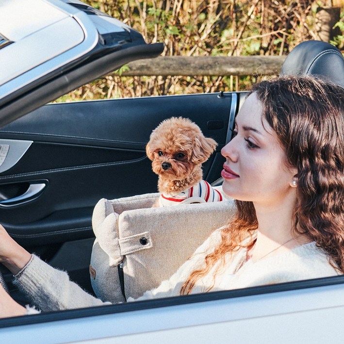 개과천선 루니 강아지 콘솔 카시트, 루니 콘솔 카시트  베이지, 1개