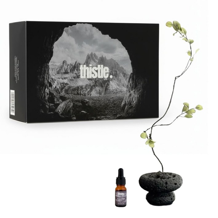 티슬 화분 스톤 디퓨저 화산석 아로마 오일 집들이 선물 세트 홈데코, 1개, 오드우드톰포드향