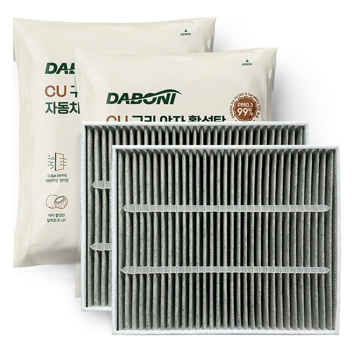 다보니 PM 0.3 카니발 4세대 KA4 구리 항균 활성탄 에어컨 필터 세트 전면후면