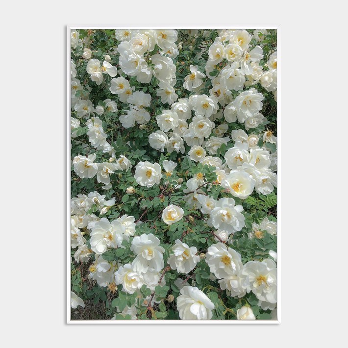 멜팅스튜디오 알루미늄 나의 유럽 모먼트 액자 세트 108번 Among the flowers 멜팅스튜디오 알루미늄 나의 유럽 모먼트 액자 세트 108번 Among the flowers