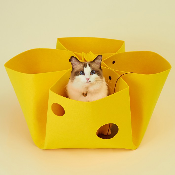 고양이섬 고양이 치즈만두 놀이터널 FREE