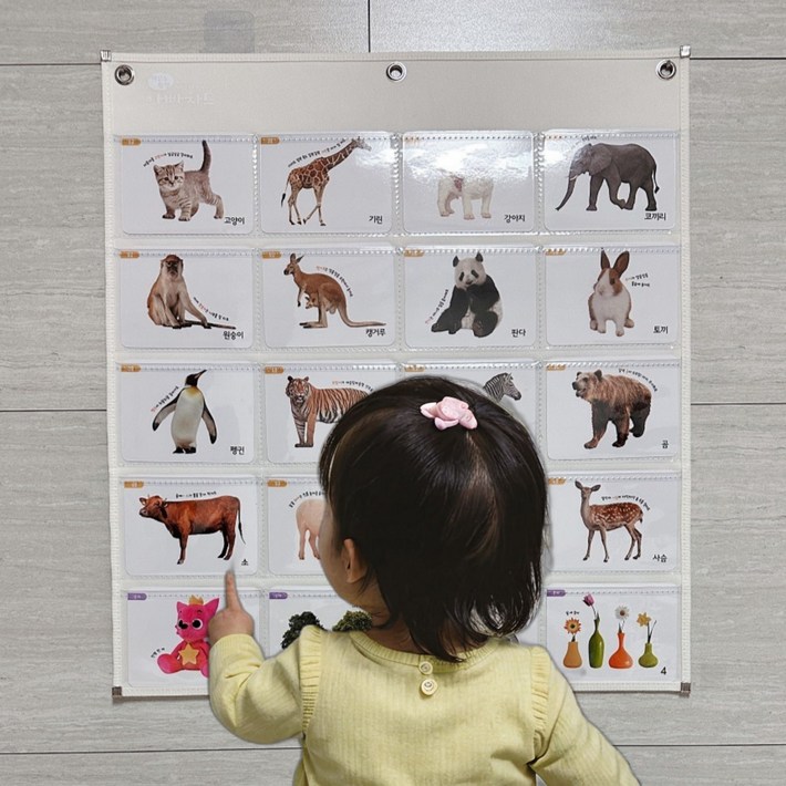 아빠차트 아기 유아 과일 동물 한글 영어 숫자 가로형 낱말카드 차트 NA11NA12NA7 모델중 선택