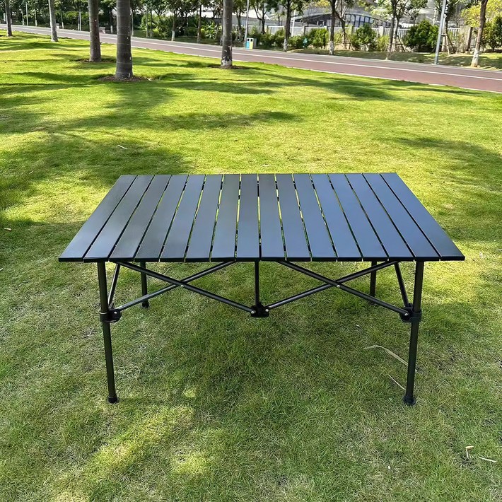 Topsun 캠핑 테이블과 의자 야외 접이식 에그 롤 테이블 피크닉 테이블 휴대용 캠핑 테이블, 철