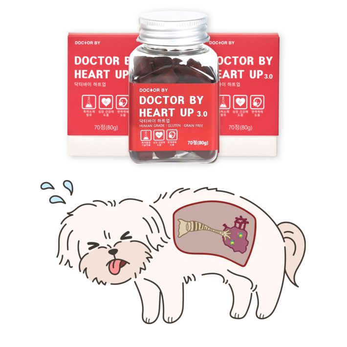 닥터바이 하트업 강아지 심장 면역 특허영양제 - 투데이밈