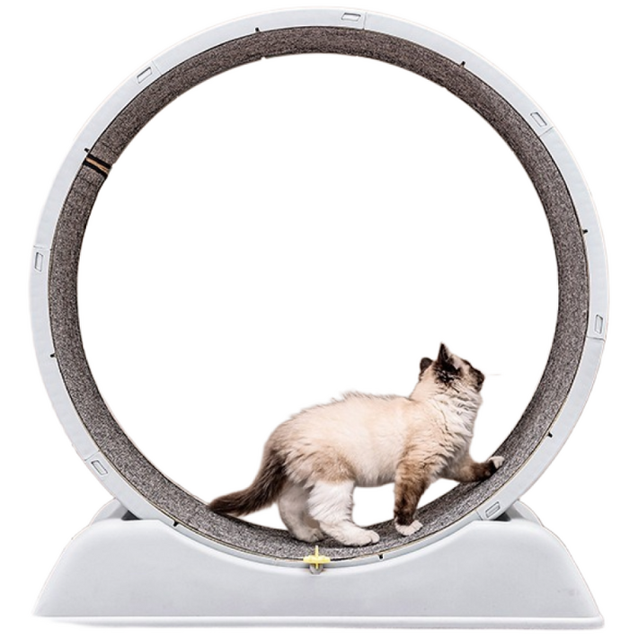 청이스토어 고양이캣휠무소음 캣휠 고양이캣휠 다이어트 운동훈련 러닝머신 운동기구 간단설치