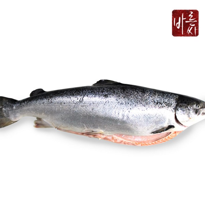 바른씨 6.5kg연어 통째로 한마리