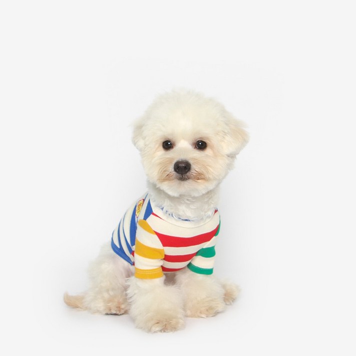 투스투스 컬러블럭 강아지 나그랑 티셔츠