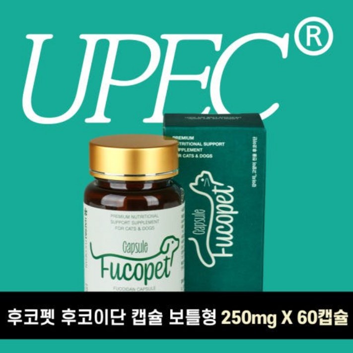 후코펫 후코이단 캡슐 보틀형 60캡슐 100 후코이단 15000mg