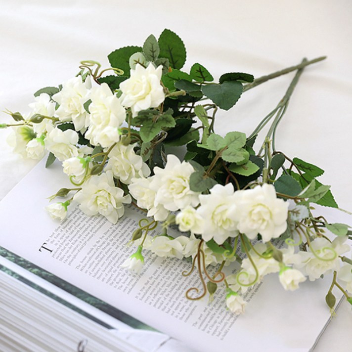 
                                                        행복한마을 벨라로쟈 조화부쉬 2p, 혼합 색상
                                                    