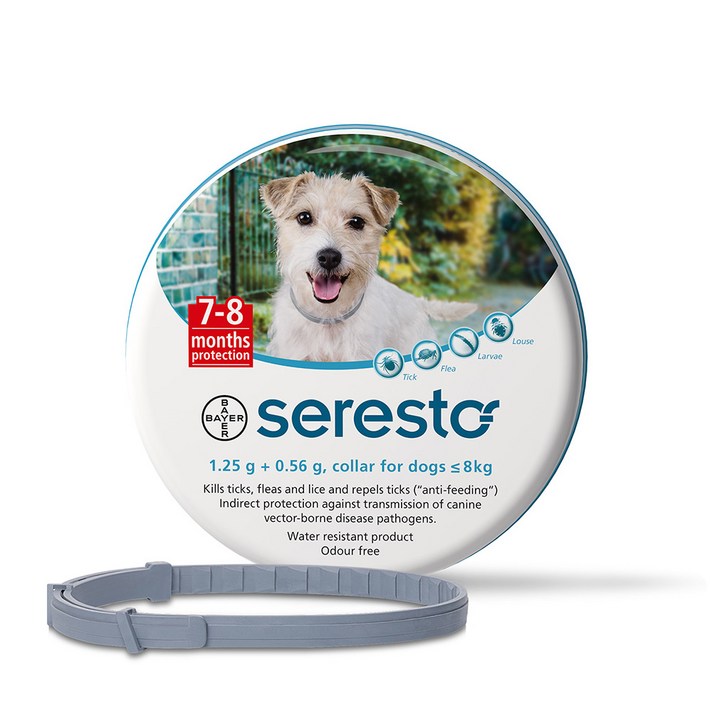 세레스토 강아지 목걸이 소형견용, 1개