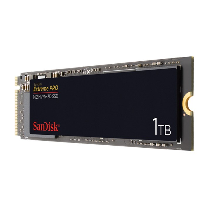 샌디스크 Extreme PRO M.2 NVMe 3D SSD, SDSSDXPM2-1T00-G25, 1TB