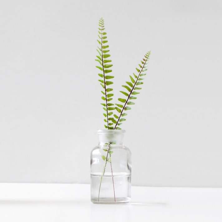 블루밍앤미 트로피칼 + 시약병 125ml 세트, 투명, 1세트