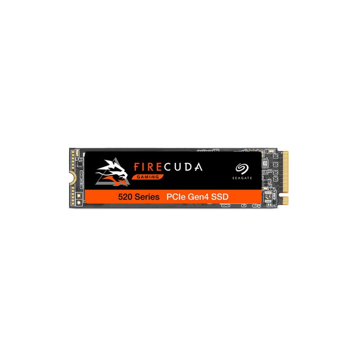 씨게이트 파이어쿠다 520 M.2 NVME SSD, ZP1000GM30002, 1TB