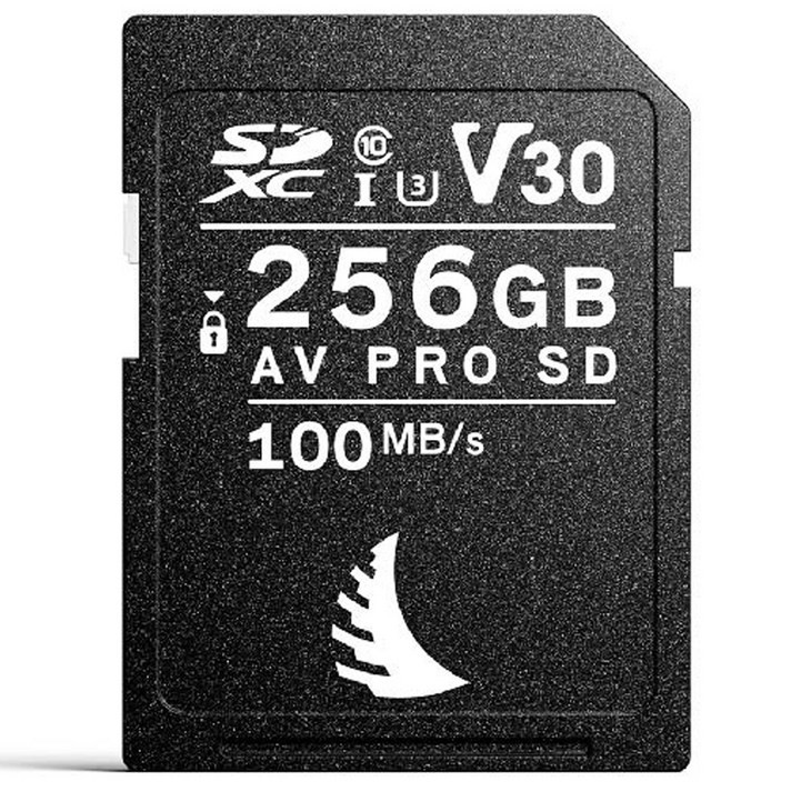  엔젤버드 AV PRO V30 SD카드, 256GB 