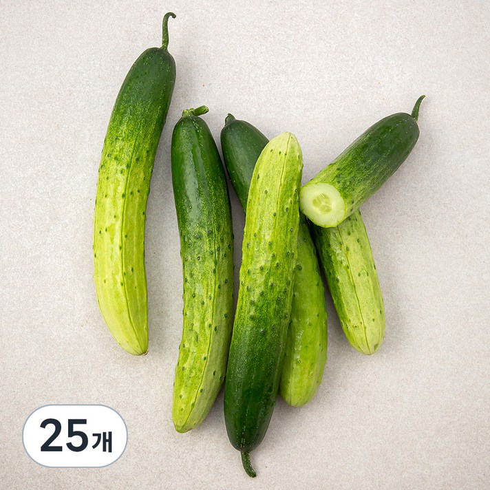 곰곰 국내산 백오이, 5입, 5개