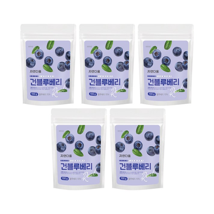 자연다움 건블루베리, 5개, 100g