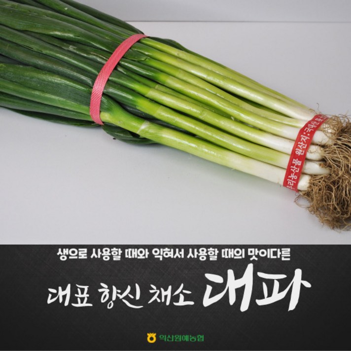 [익산원예농협] 건강한 국내산 대파 1단 (2kg / 4kg 내외), 2kg내외 작은단 1단